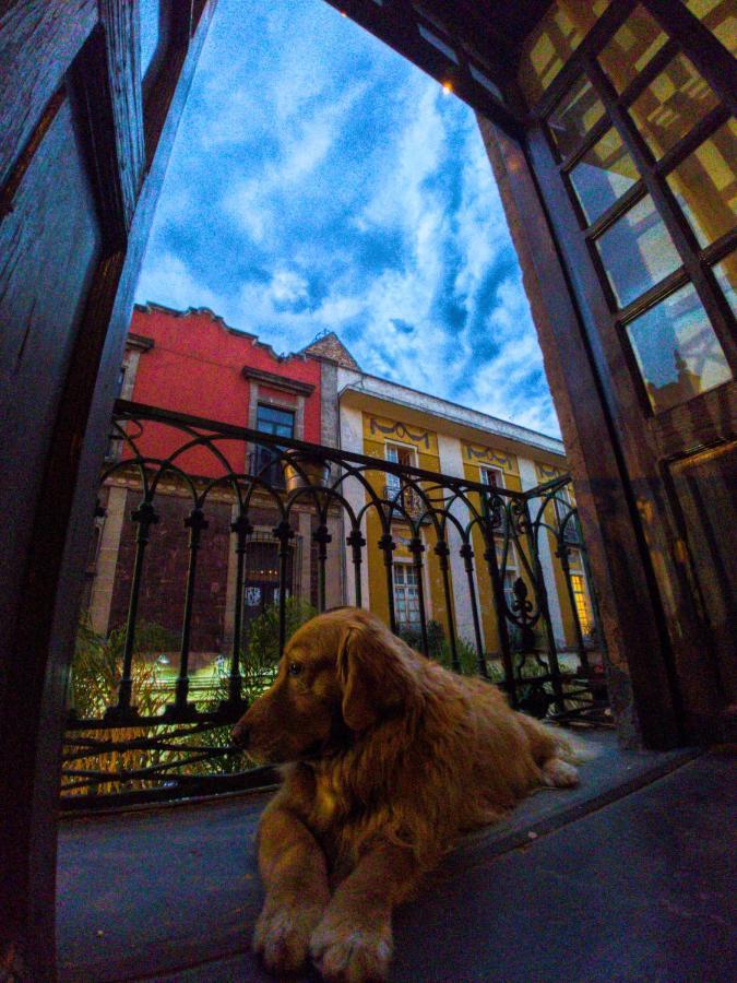Regina Down Town Hostal