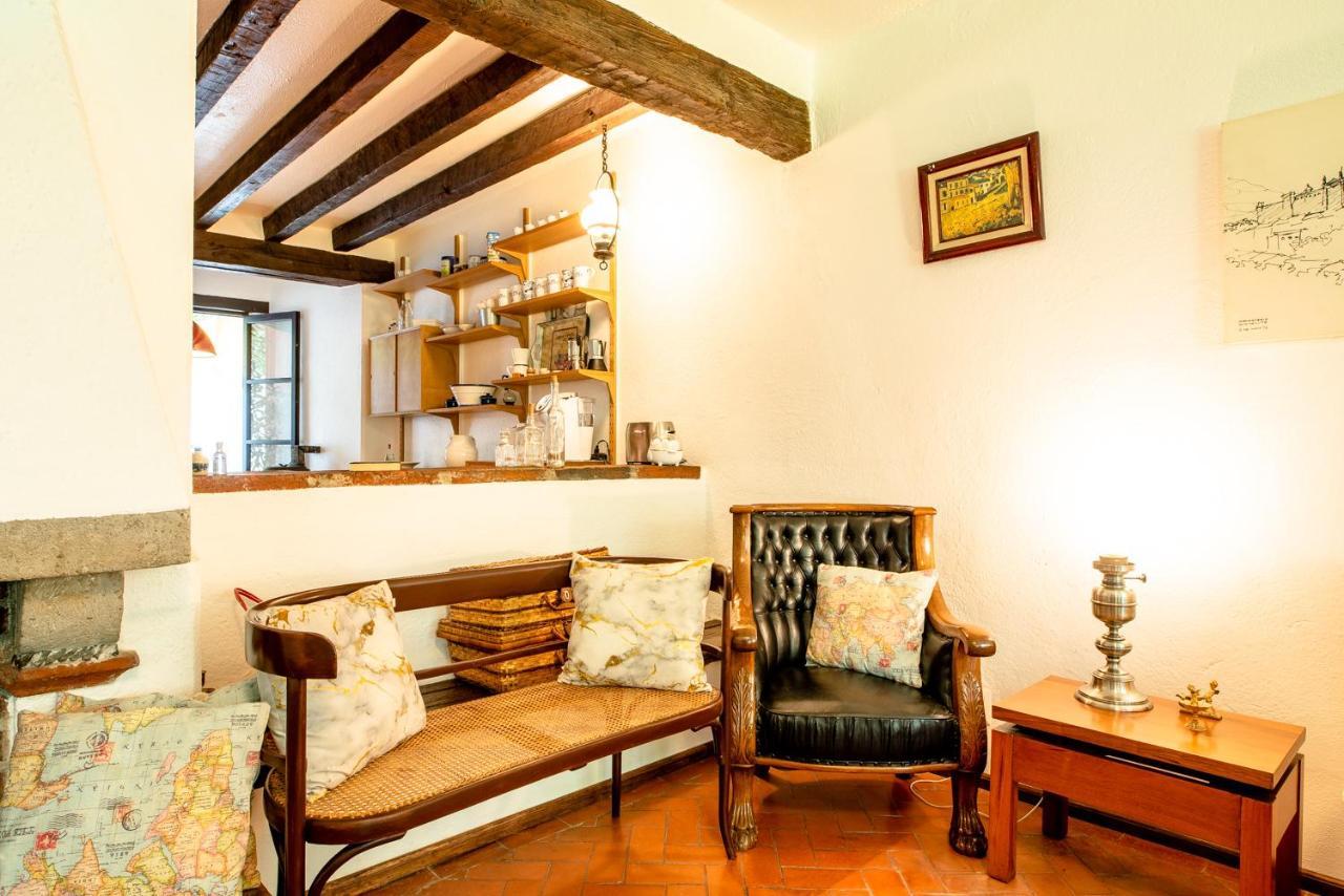 Casa Del Rio, Family House Coyoacan