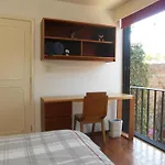 Terraza & Loft San Angel