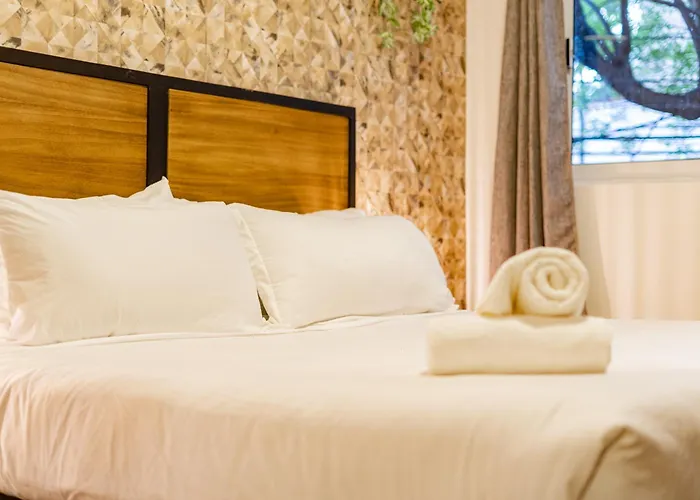 Condesa Zamora Lofts By Vh