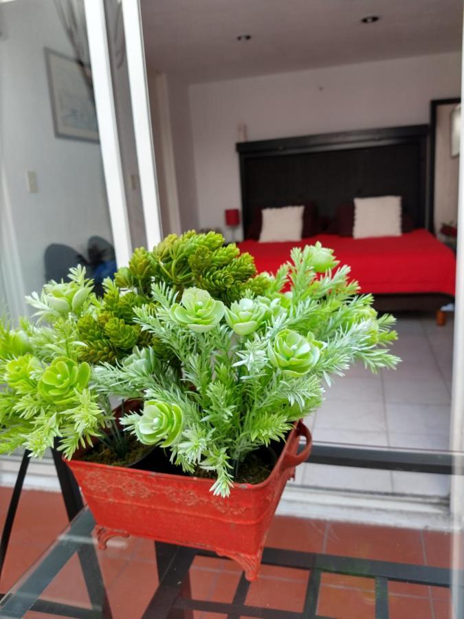 Trojes Cdmx México DF