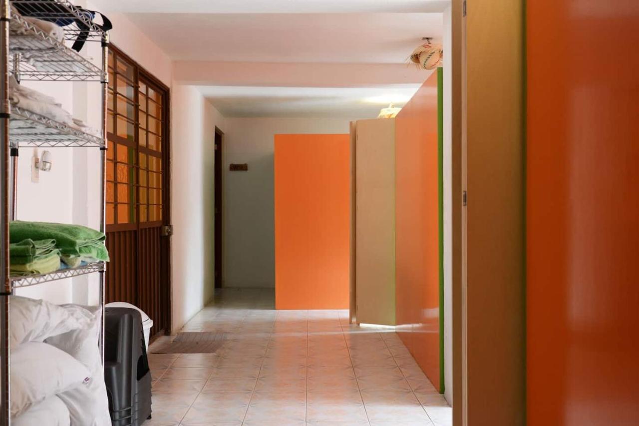 Casa de férias Nova House