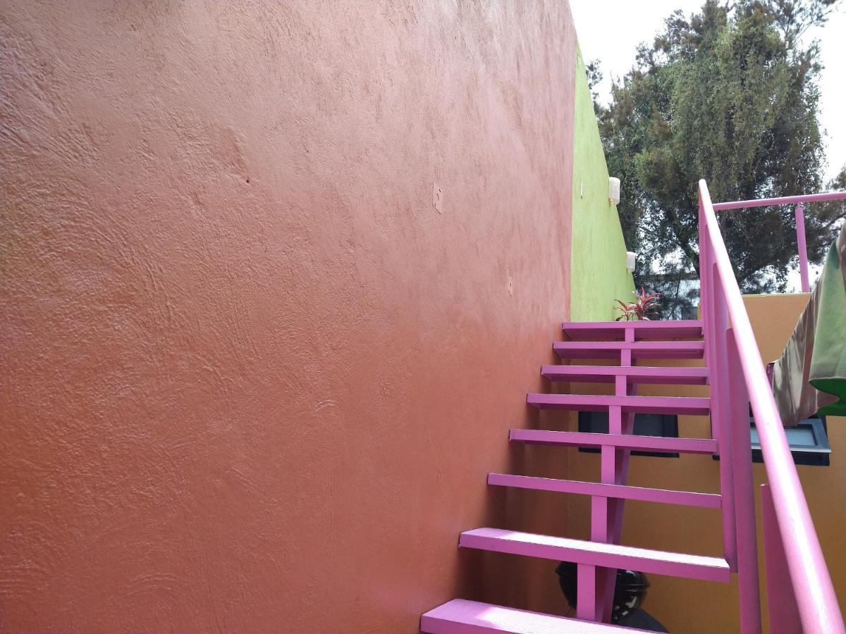 Casa de férias Nova House *