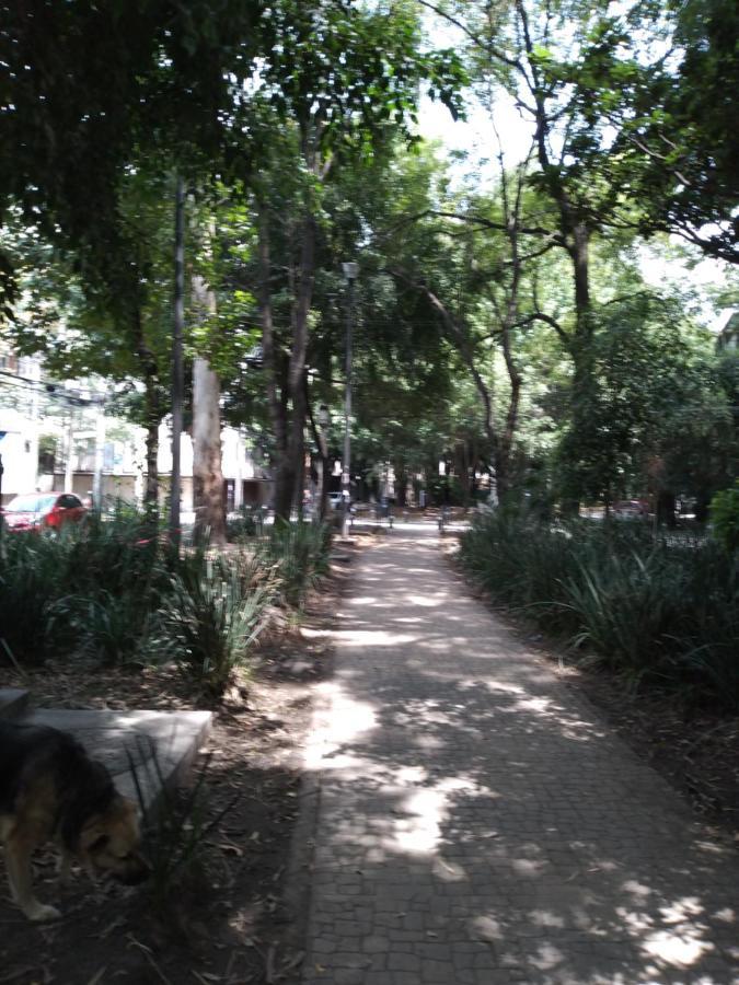 Charming Sunny Bedroom Overlooking Beautiful Amsterdam Avenue In Condesa Area Habitación en casa particular *