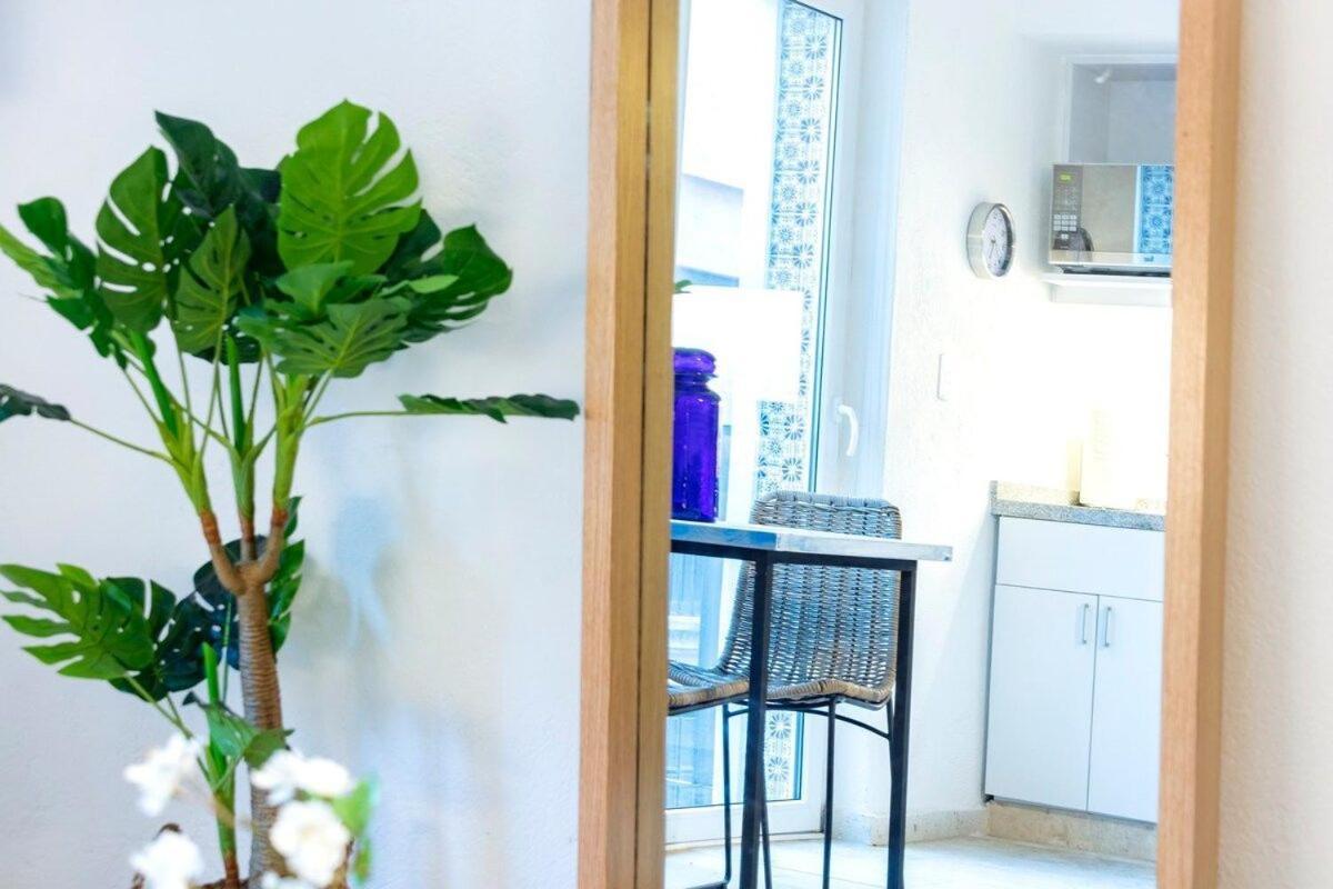 Modernísimo Loft A Pasos De La Alameda Apartamento México DF