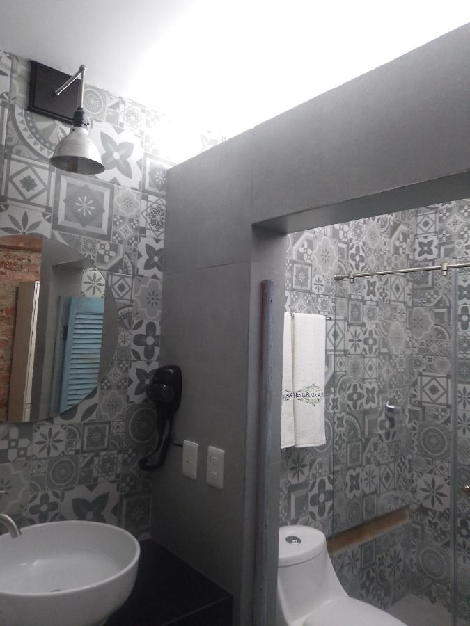 Hotel Plaza Allende *