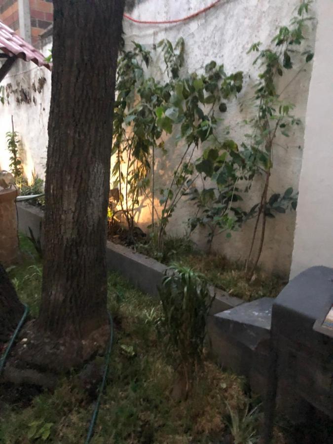 Apartamento Frida *