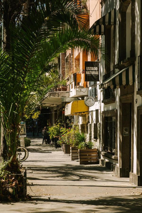 Sonder Coporo *