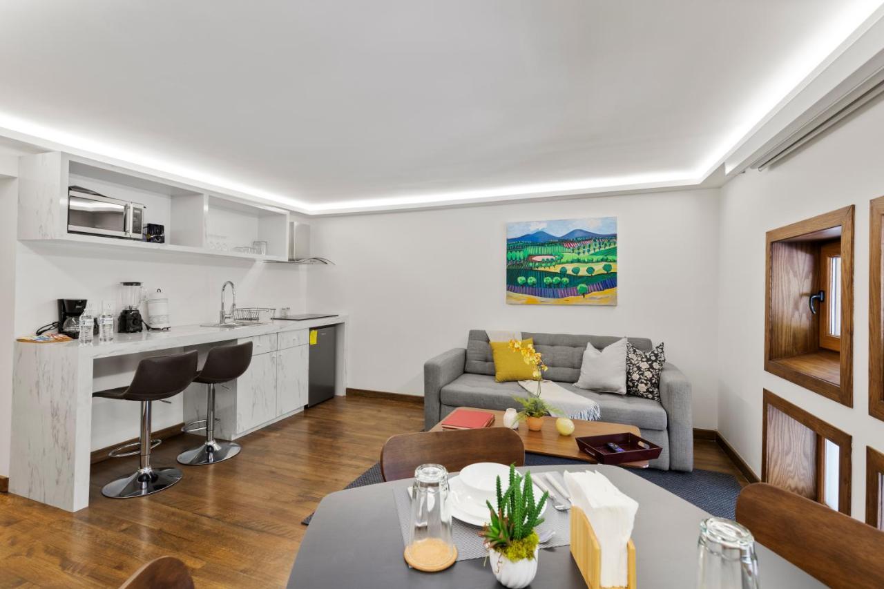 Casa Niza Apartment Mexico City