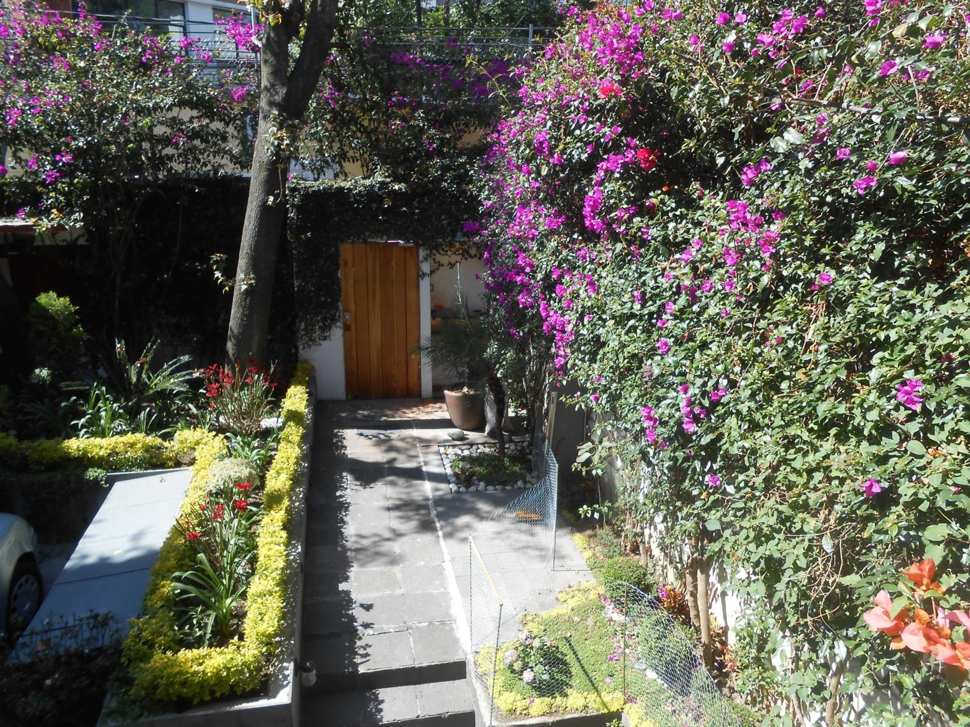Terraza & Loft San Angel * México DF