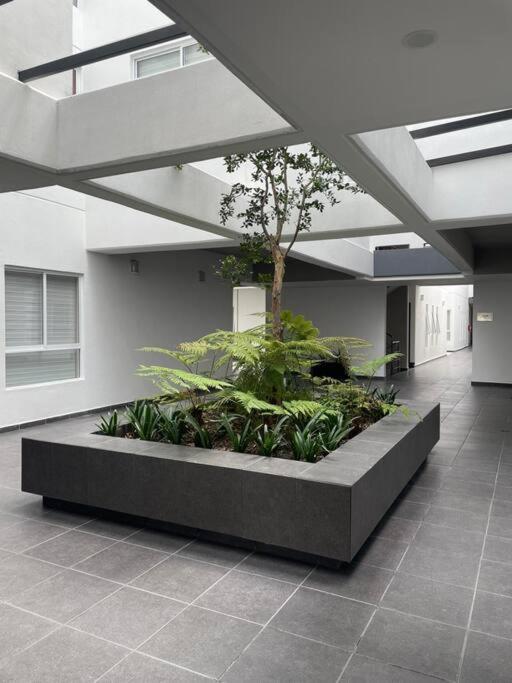 Departamento A 5 Min. Del Aeropuerto Cdmx. Apartamento *