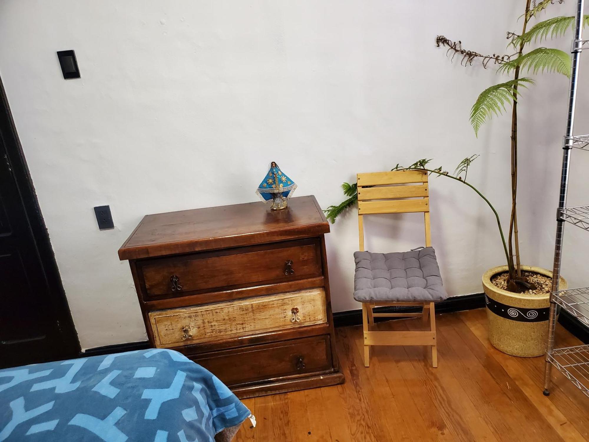 Apartment In The Heart Of Rome Mexico City