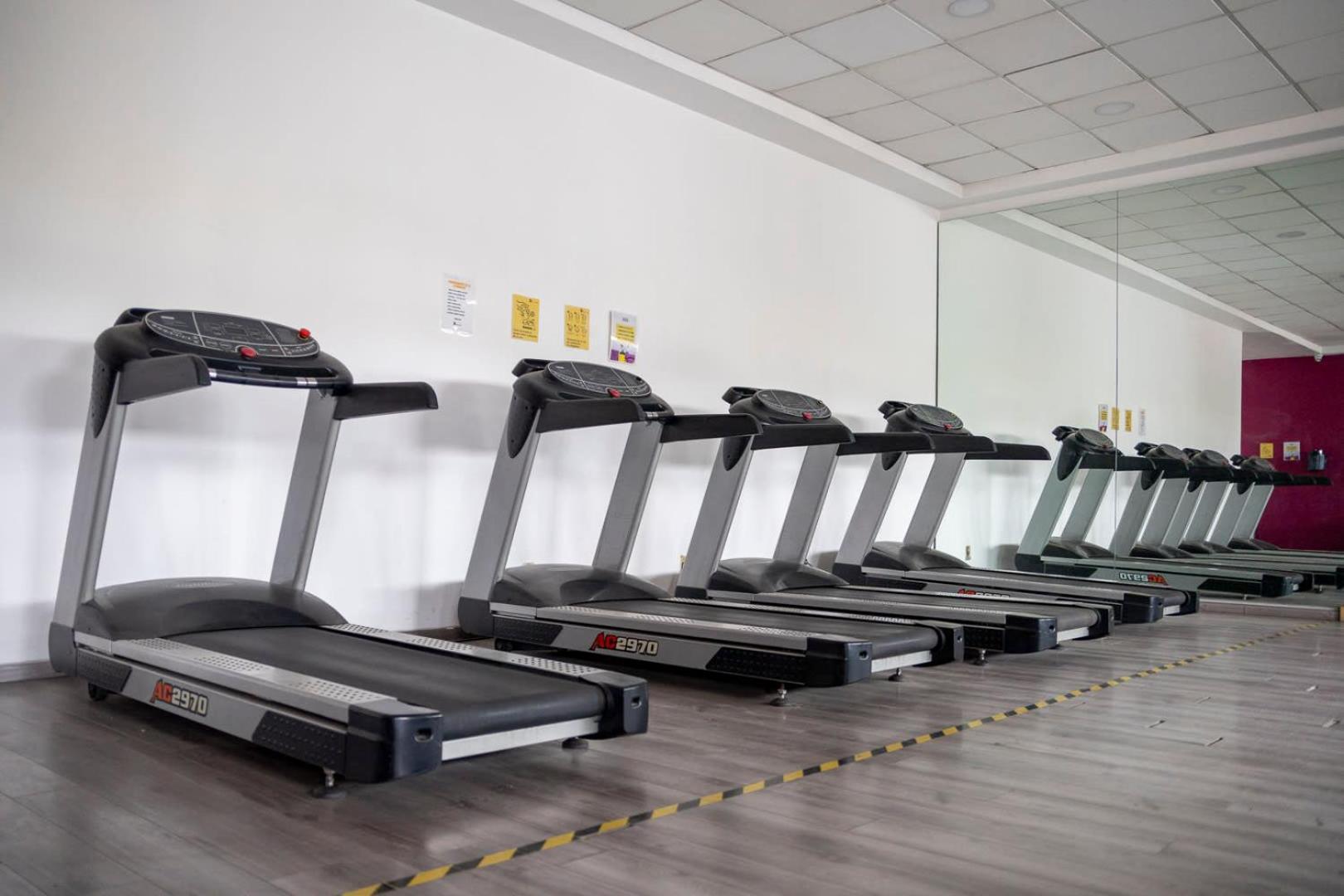 Apartamento New Chic With Gym Access & Private Roof *