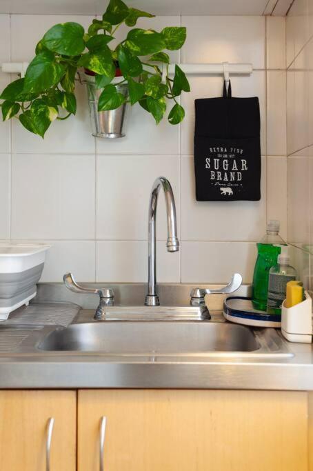 Apartamento Hip Condesa Flat *