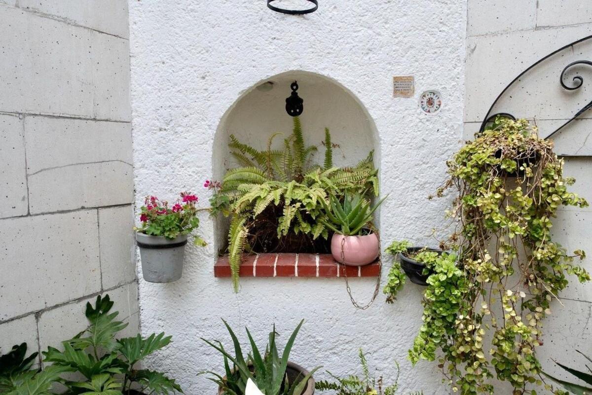 Condesa, Casa 16 Grande Y Hermosa Apartamento *