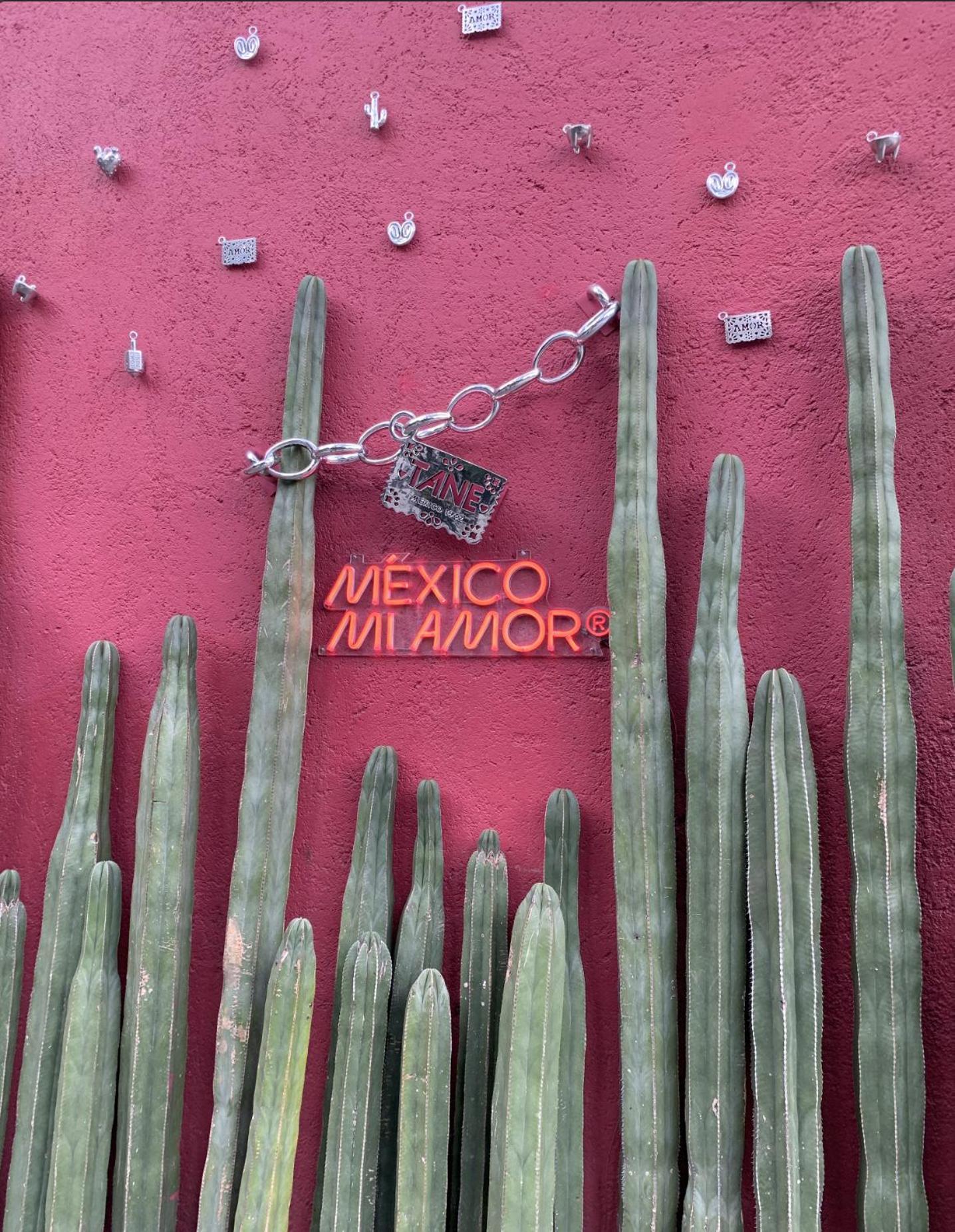 Apartamento Socrates 378 México DF