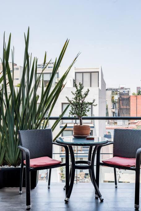 Hermoso Departamento En La Condesa