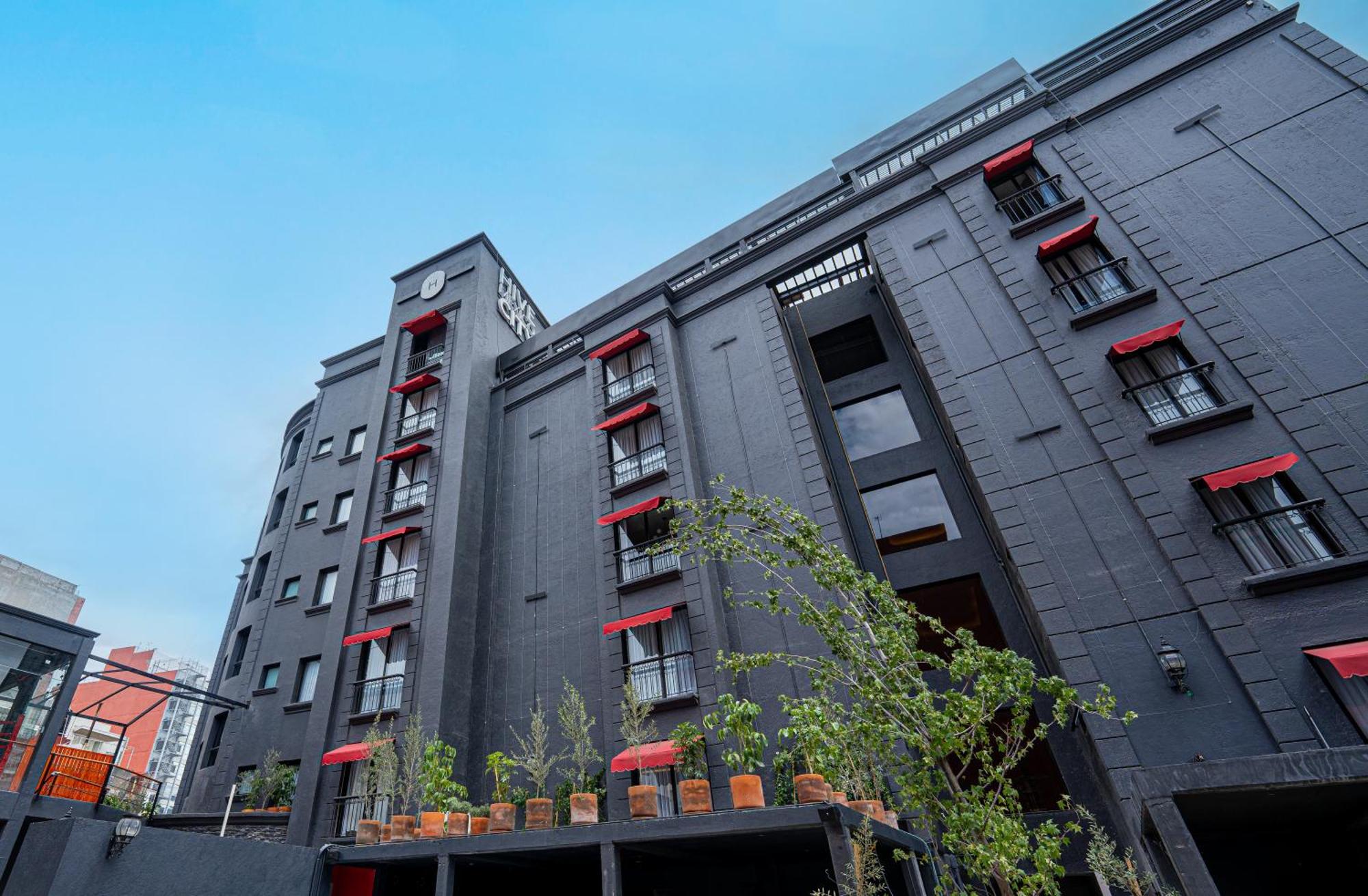 Hotel Hive Mexico By G