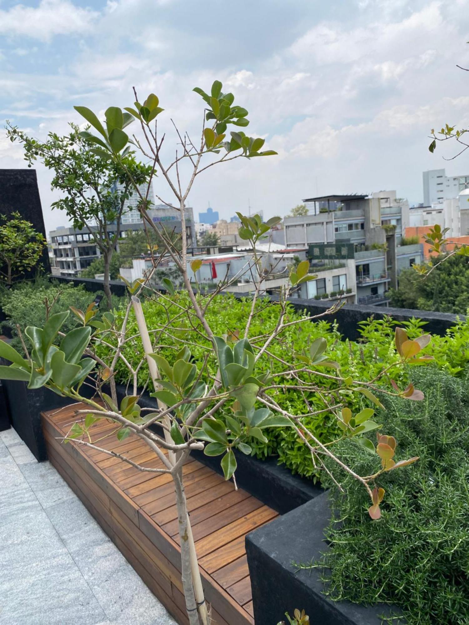 Apartamento Mexico Loft In The Heart Of Roma Norte Steps Away From Cibeles *