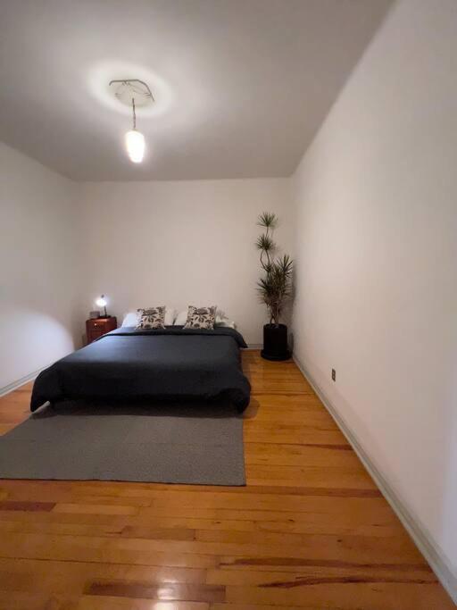 Apartamento The Location In Condesa Roma With Air Conditioner México DF