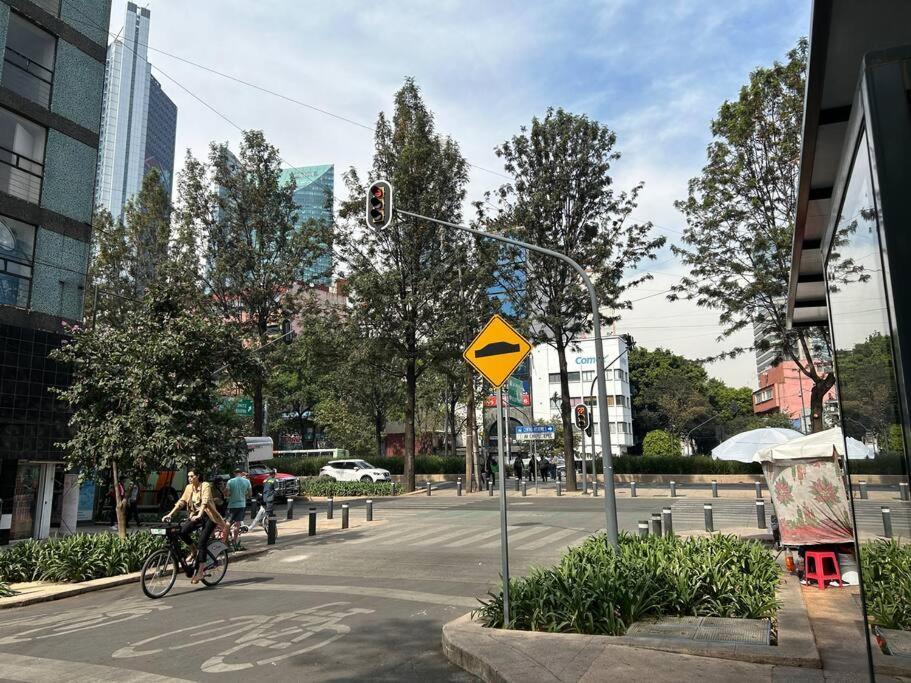 Cozy Roma Norte, Heart Of The * México DF