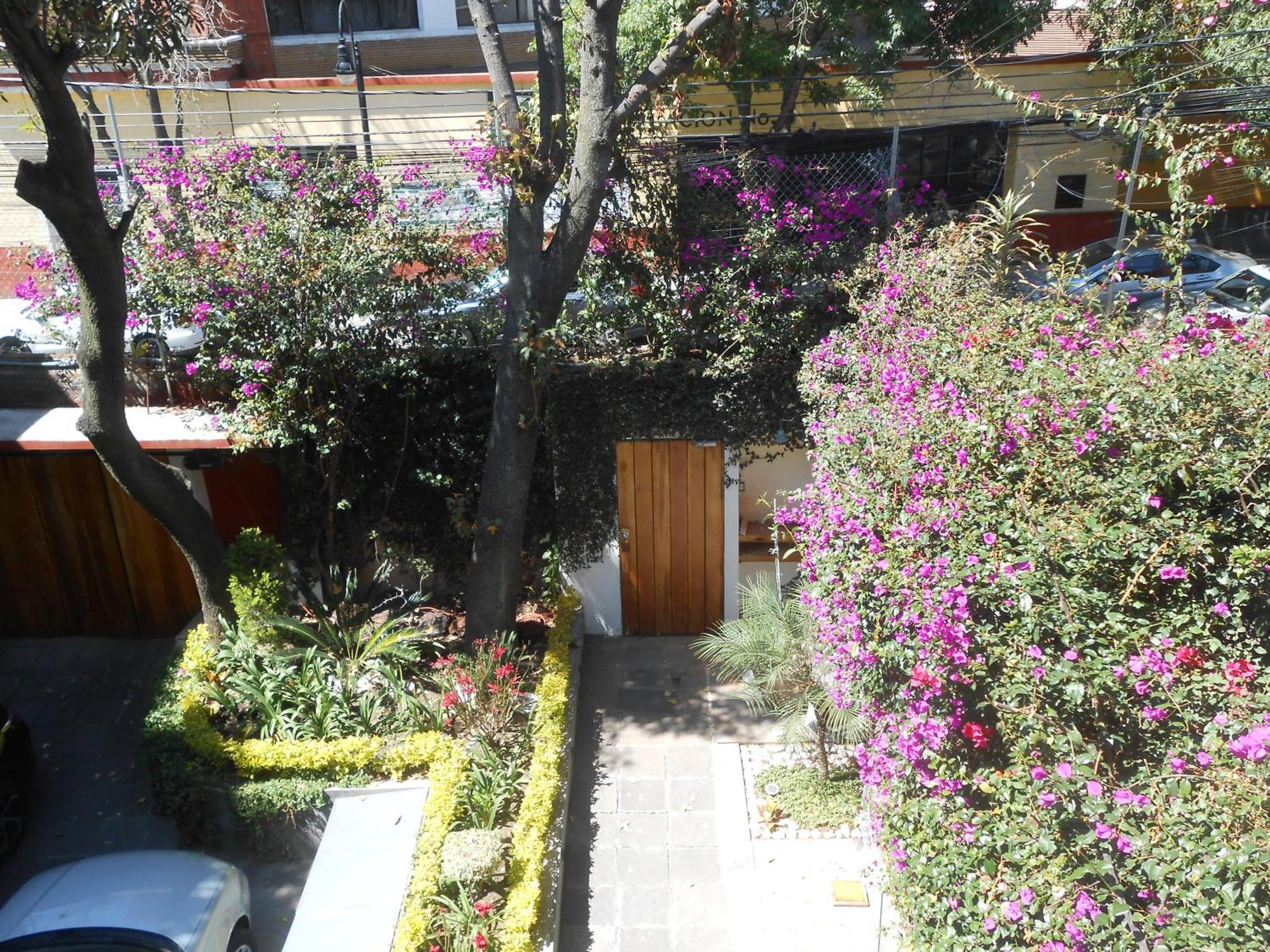 Terraza & Loft San Angel Habitación en casa particular *