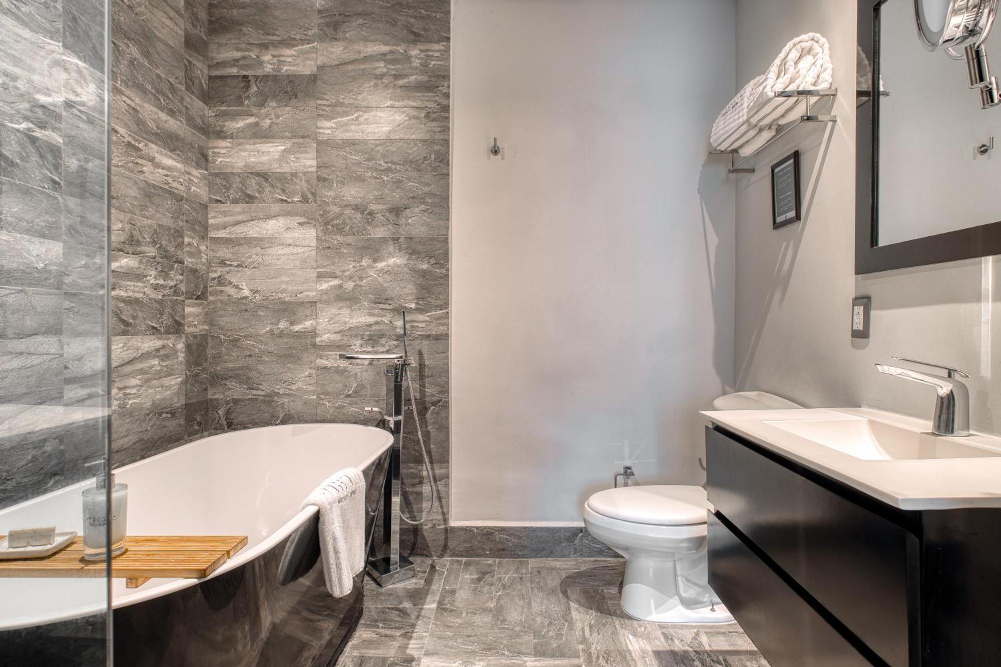 Hotel Pug Seal Polanco Allan Poe 5*