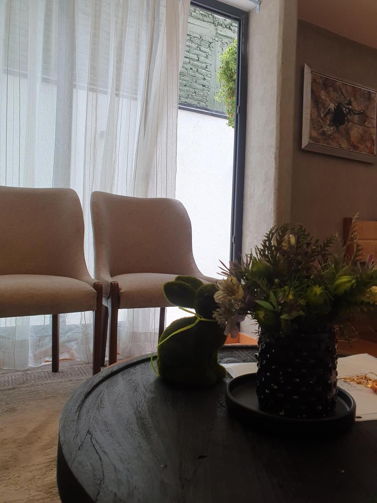 Lovely With A Terrace * Mexico City