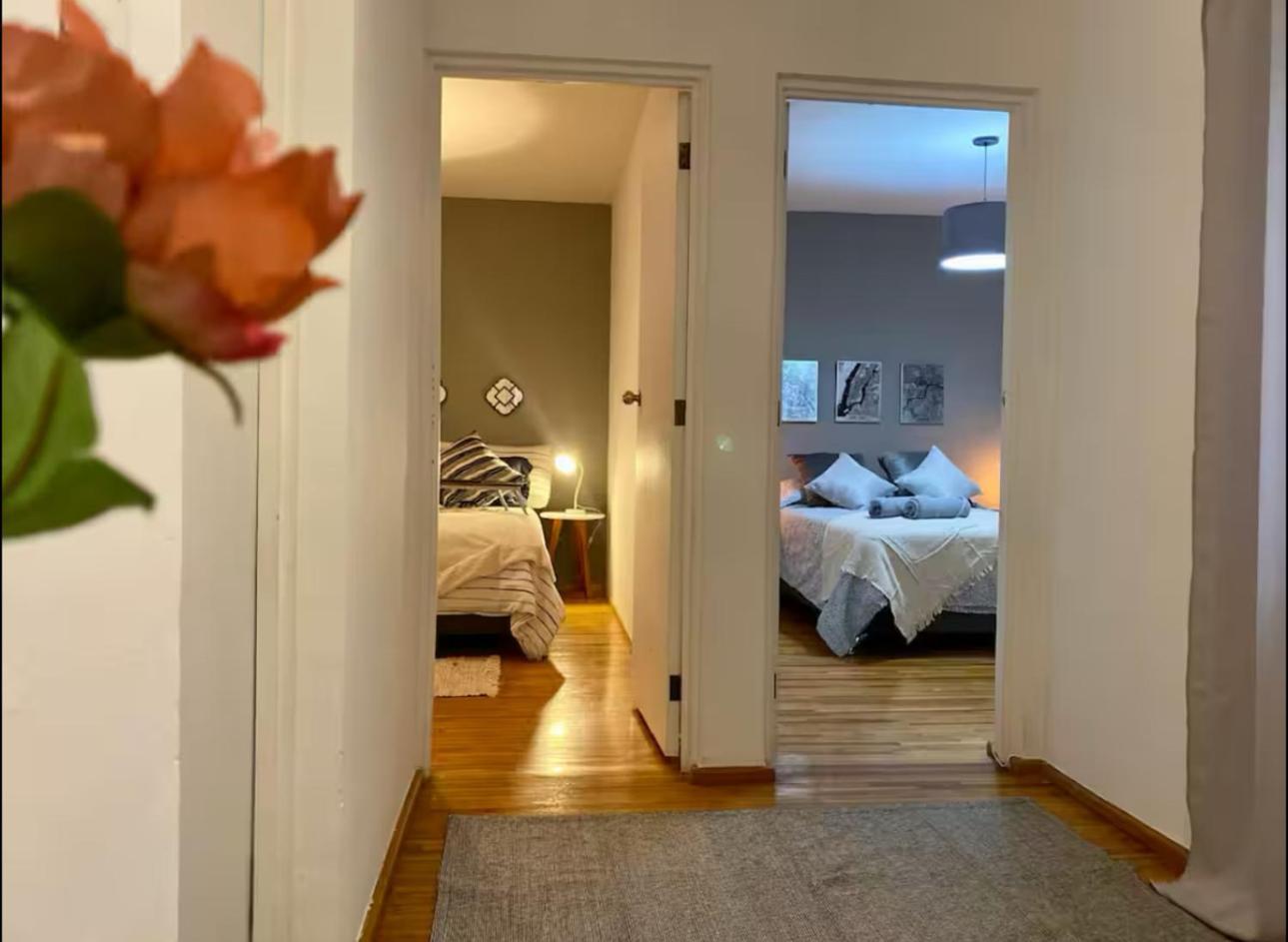 Hermoso Departamento En Condesa Apartamento *