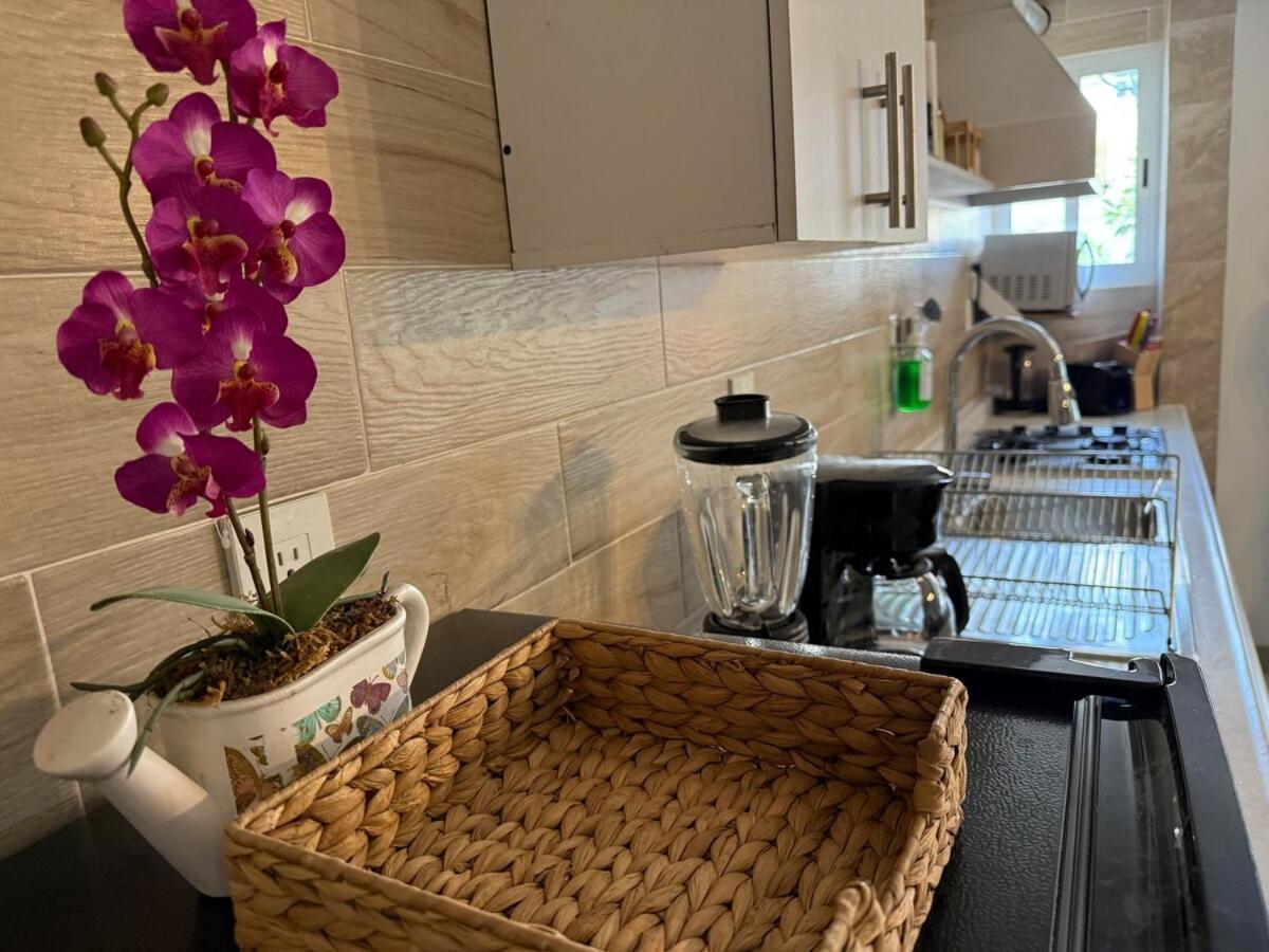 Apartamento Cerca Foro Sol Gnp Y Aeropuerto