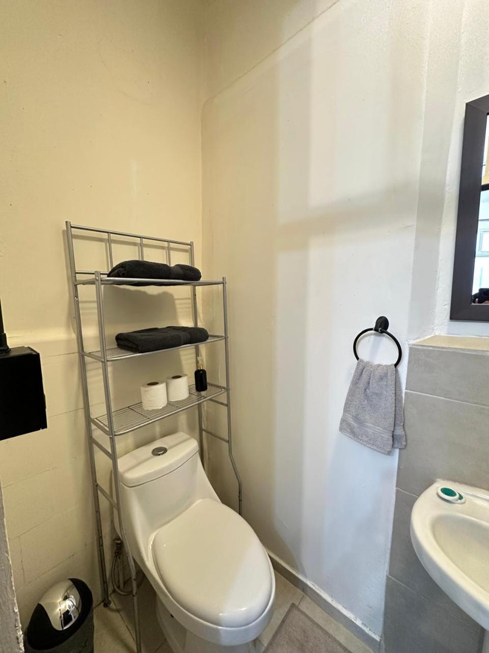 Apartamento Cozy Oasis In La Condesa *