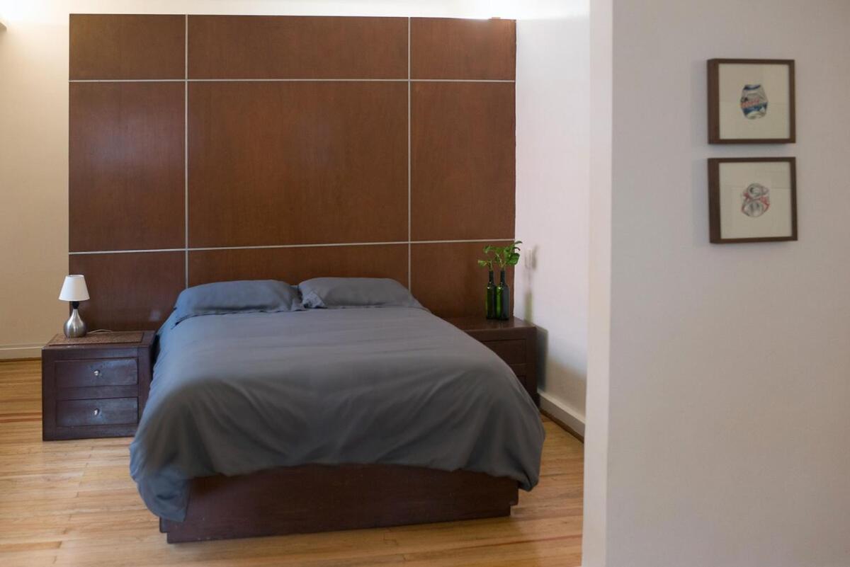 Apartment Loft In The Fun Part Of Condesa