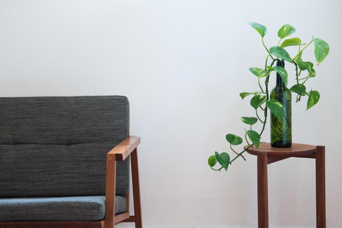 Apartment Loft In The Fun Part Of Condesa Mexico City