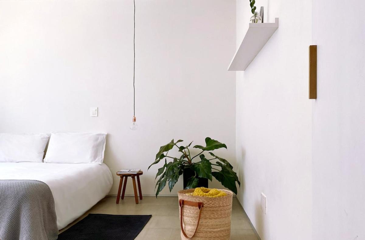 Casa Mariana, Stylish, Spacious, Few Blocks From Condesa Y Polanco Apartment Mexico City