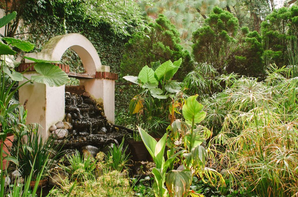 Villas Sol Y Luna Coyoacan Homestay