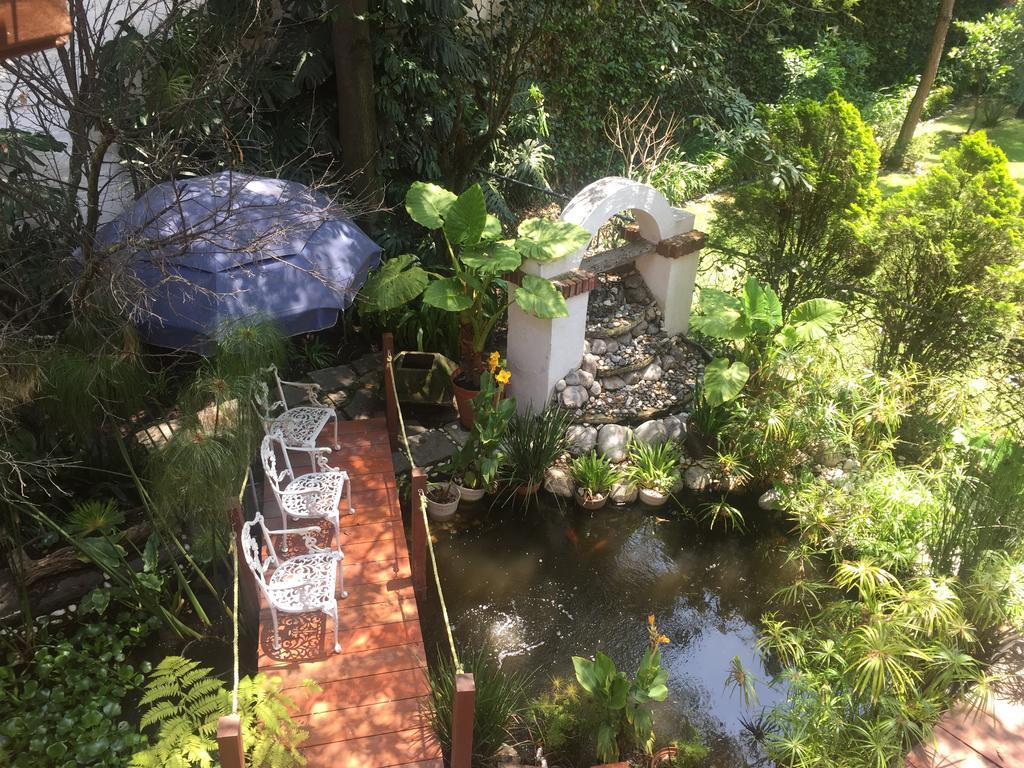 Homestay Villas Sol Y Luna Coyoacan