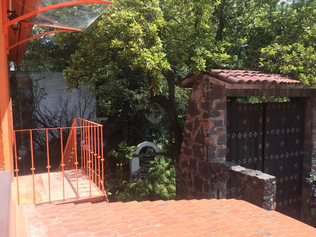 Villas Sol Y Luna Coyoacan Homestay Mexico City