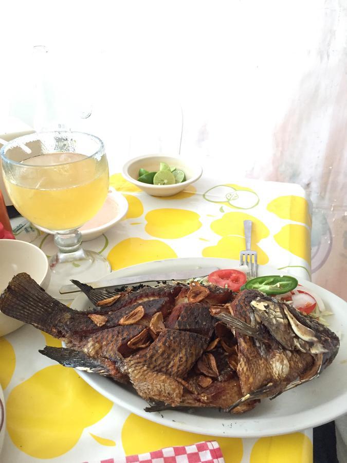 Casa Q Bed & Breakfast