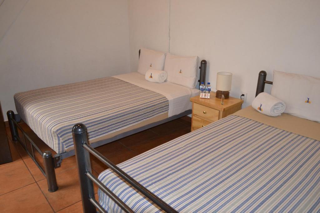 Hostal Mexico México DF
