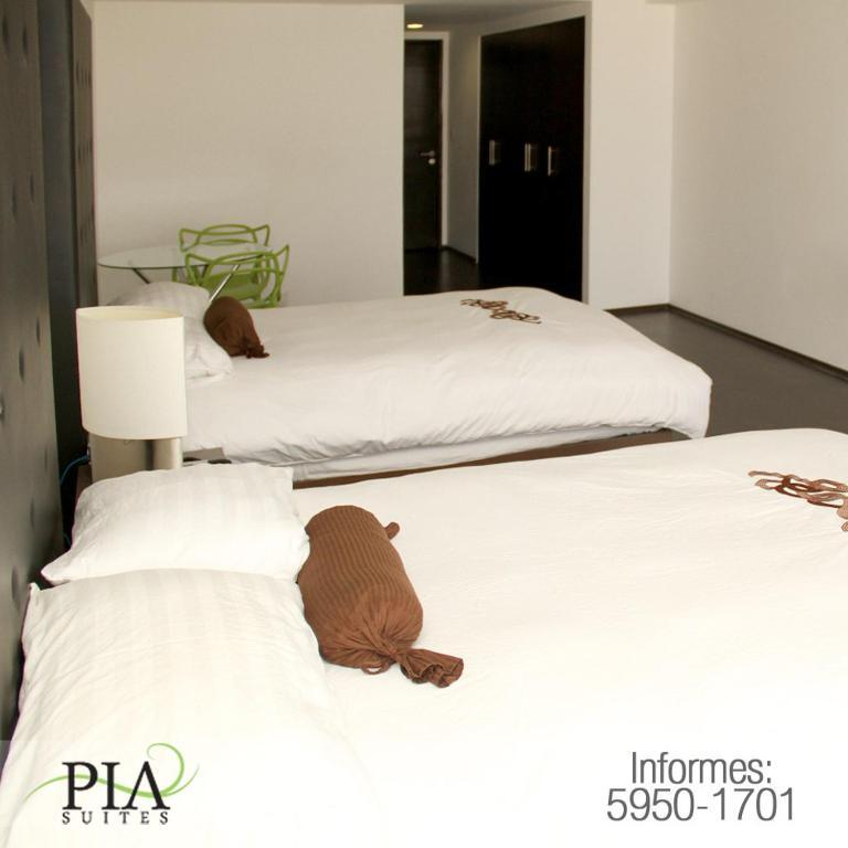Pia México DF
