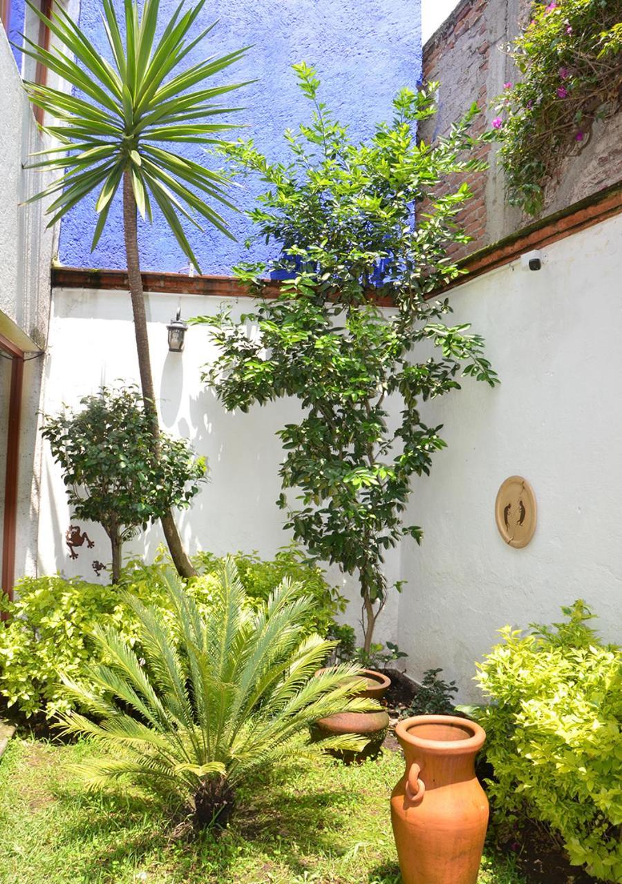 Inn Casa Coyoacán