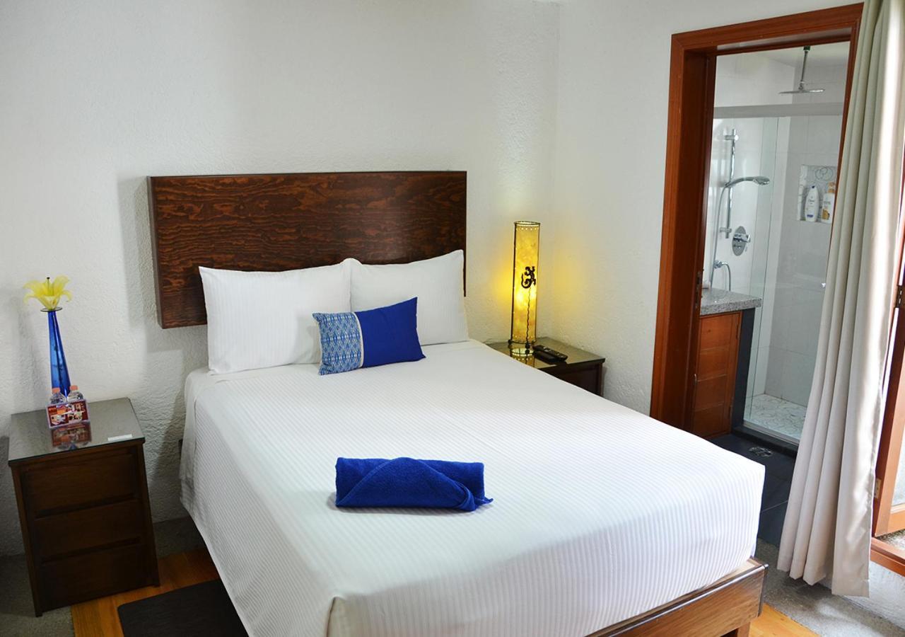 Inn Casa Coyoacán
