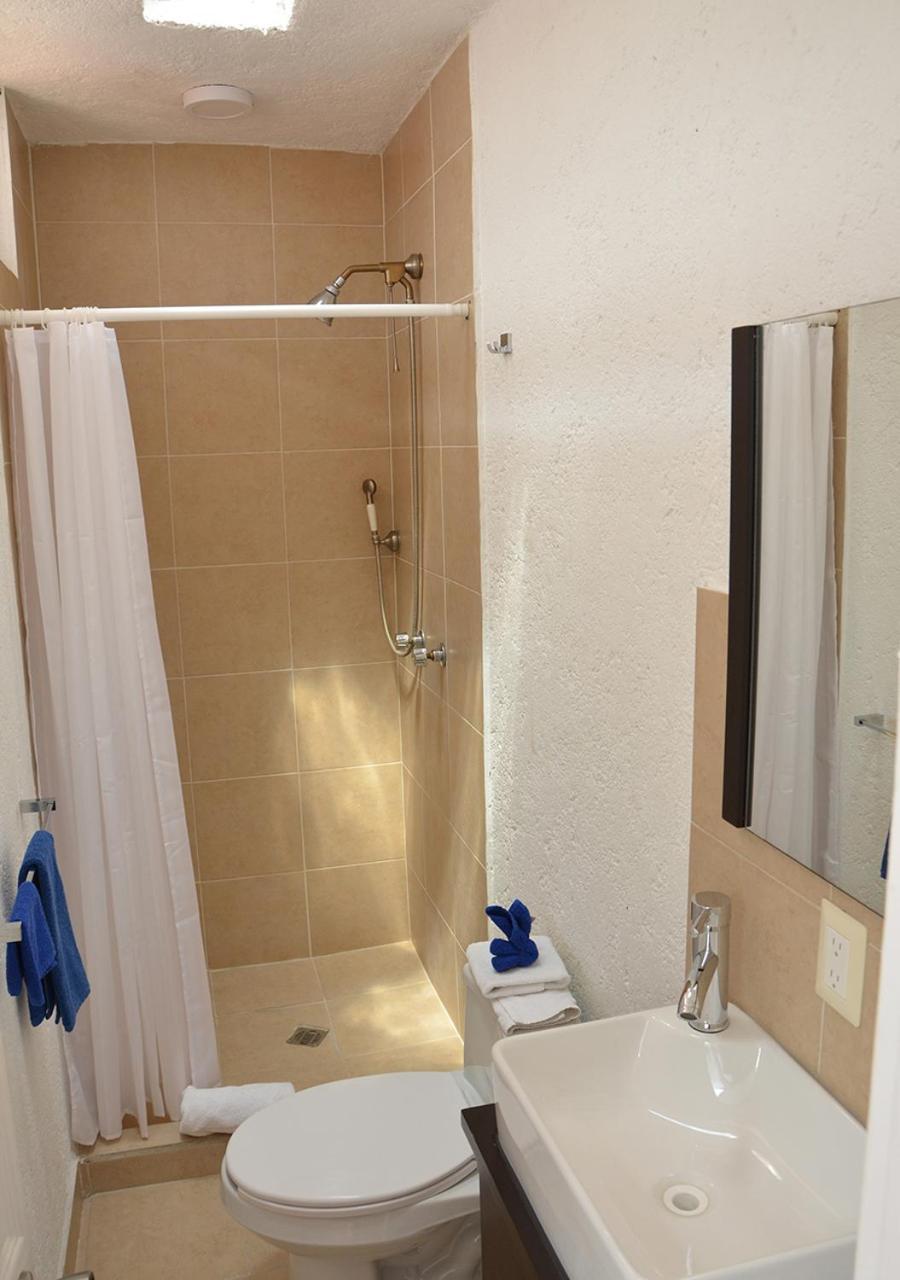 Casa Coyoacán Inn 2*