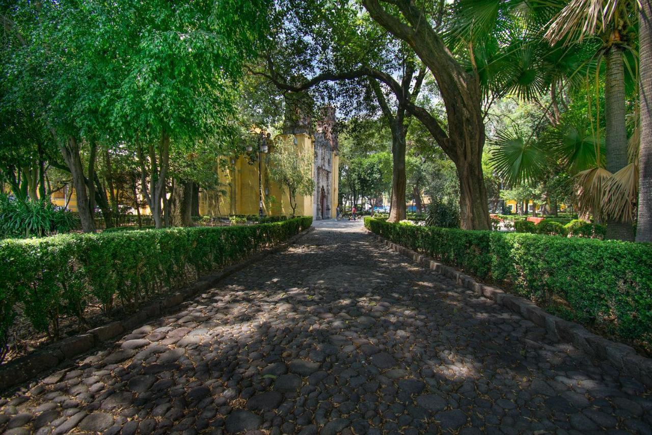 Apartamento Fl 59 Coyoacan At Your Doorstep!