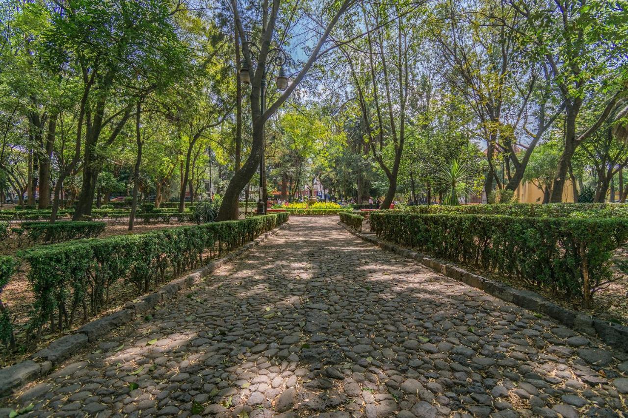 Fl 59 Coyoacan At Your Doorstep!