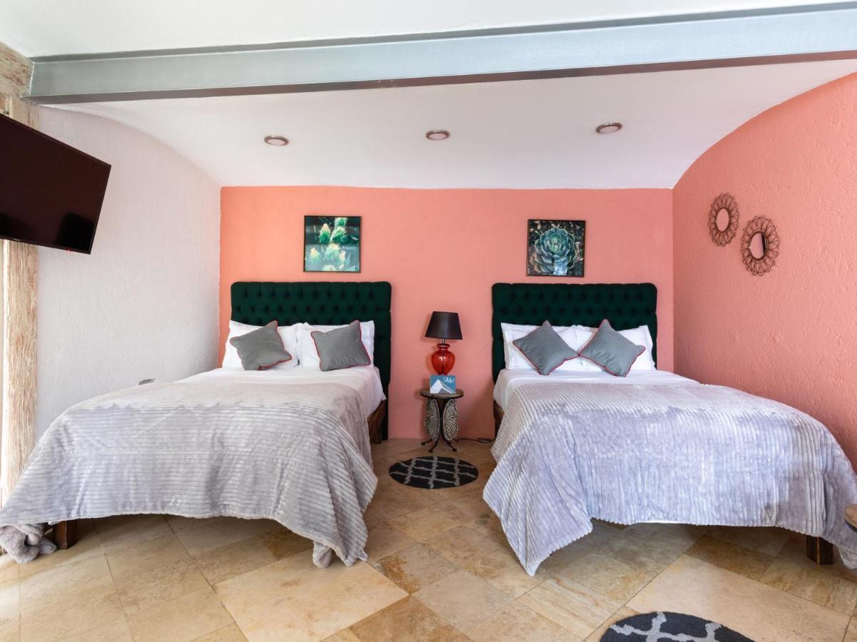 Coyota House Un Hotelito Boutique En El Centro De Coyoacan Precio Promocion Homestay Mexico City