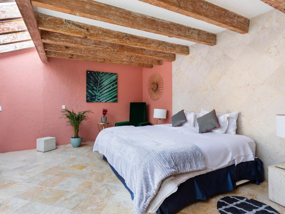 Homestay Coyota House Un Hotelito Boutique En El Centro De Coyoacan Precio Promocion Mexico City